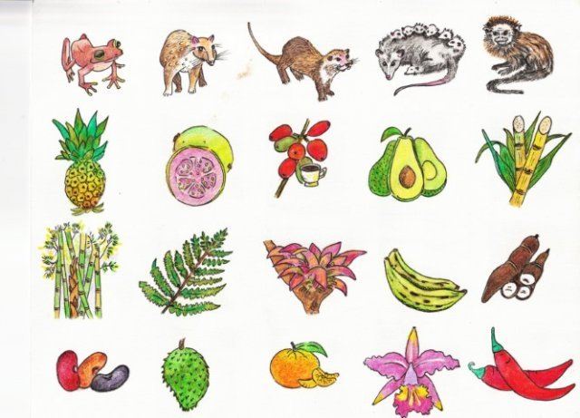 MATERIAL LÚDICO 2022